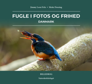 Fugle i fotos og frihed – DANMARK
