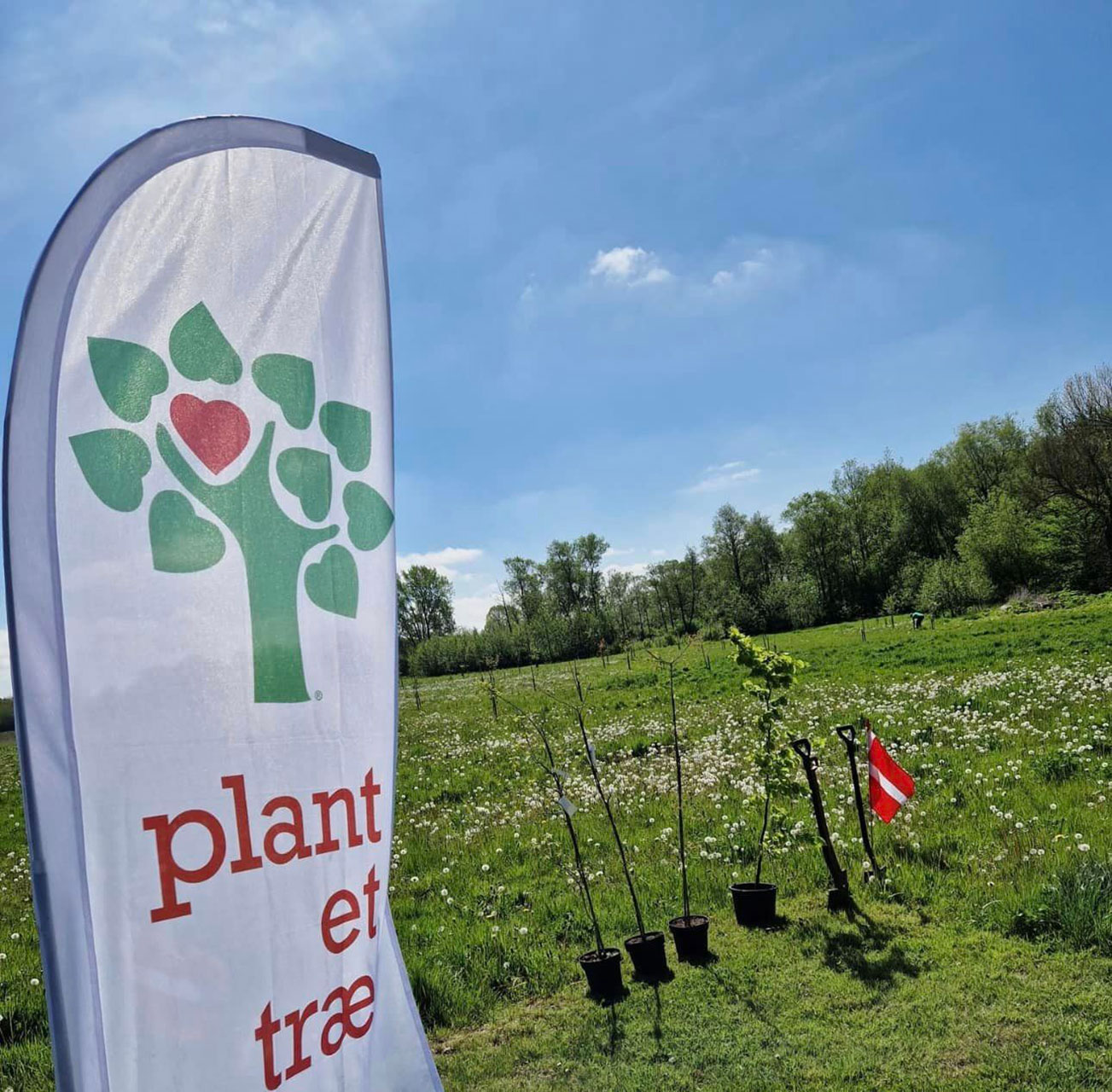 Elever fra Tietgenskolen planter mindetræ - Plant et Træ