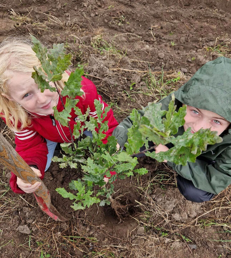 Plantning-Giber-Ringvej_01