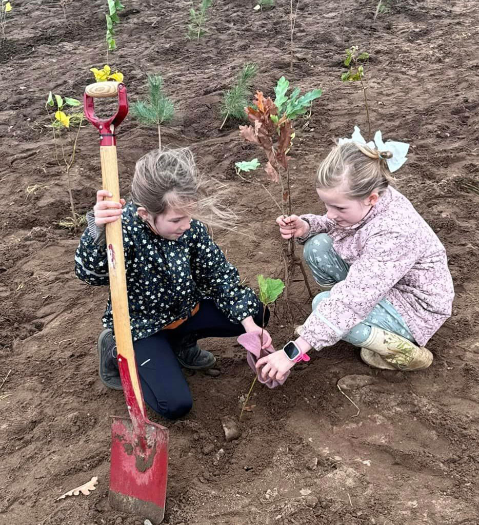 Plantning-Viborg-Mølleholmskolen_01