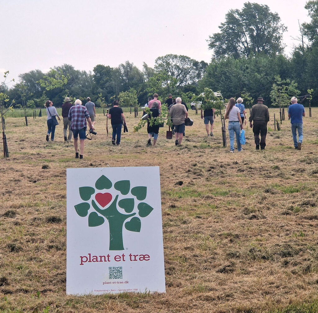 Plantning-Danmarkslunden-Odense-Foraar-2025_11