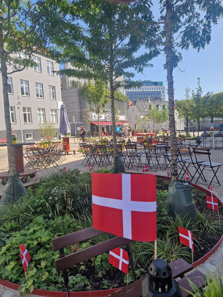 Fredens-Torv-plantning-2025_01