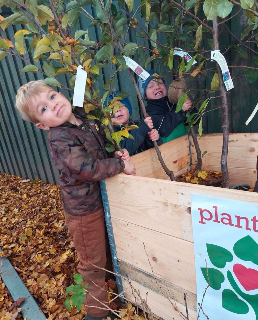 Træplantningsarrangementer efterår 2025 - Plant et Træ