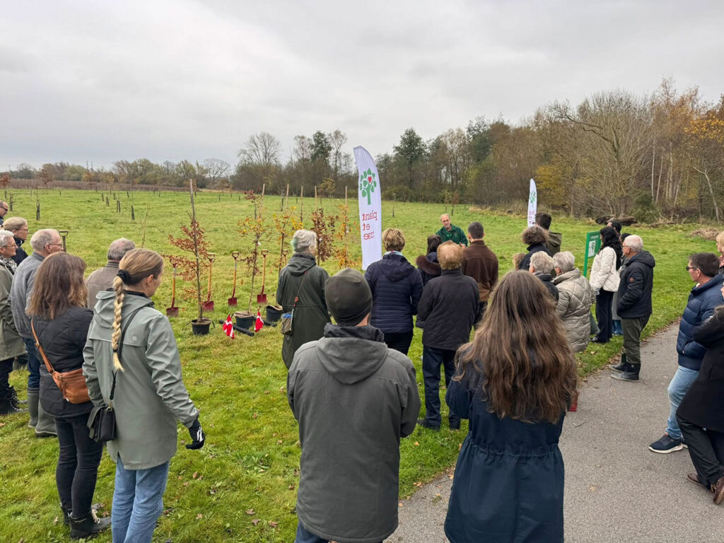 Danmarkslunden-Odense-efteraar-2025_02
