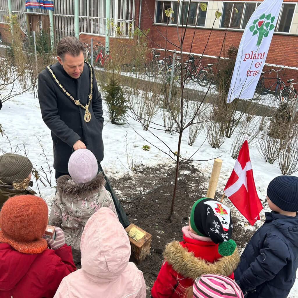 Plantning-Frederiksberg-Rådhus_01