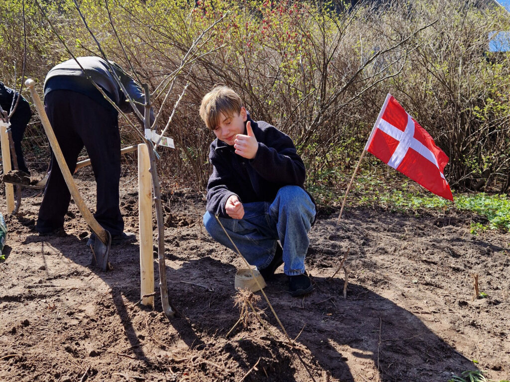 Plantning-Julemærkehjemmet-Kildemose_05